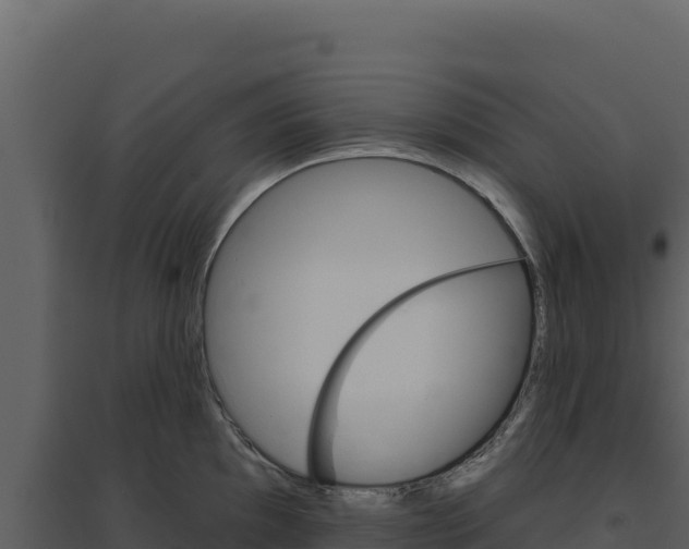 X0000094811097200711160958