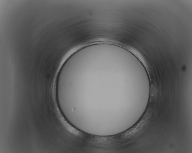 X0000094811098200711160958