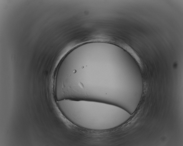 X0000094811099200711160958