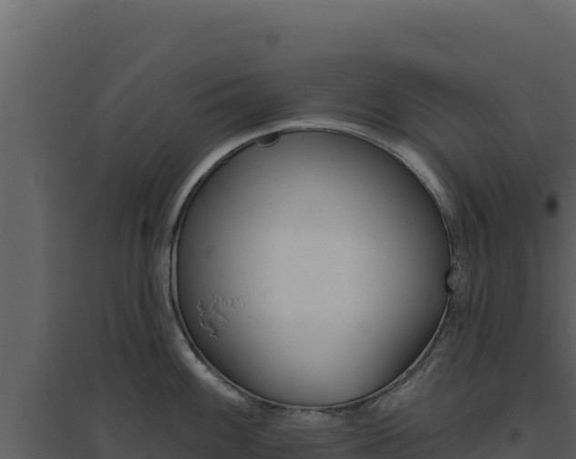 X0000094811100200711160958