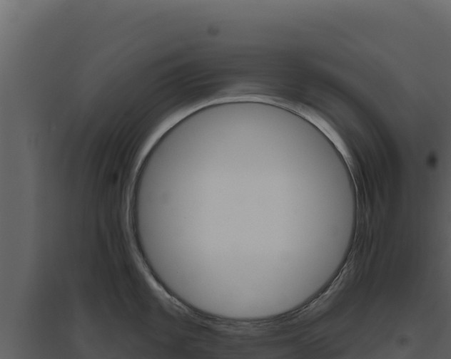 X0000094811101200711160958