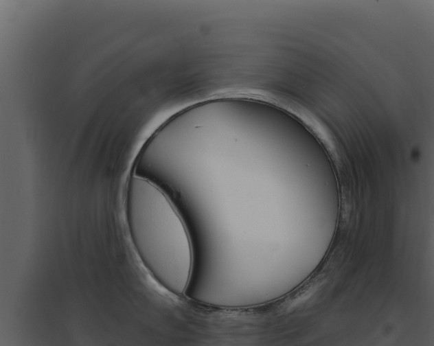 X0000094811102200711160958
