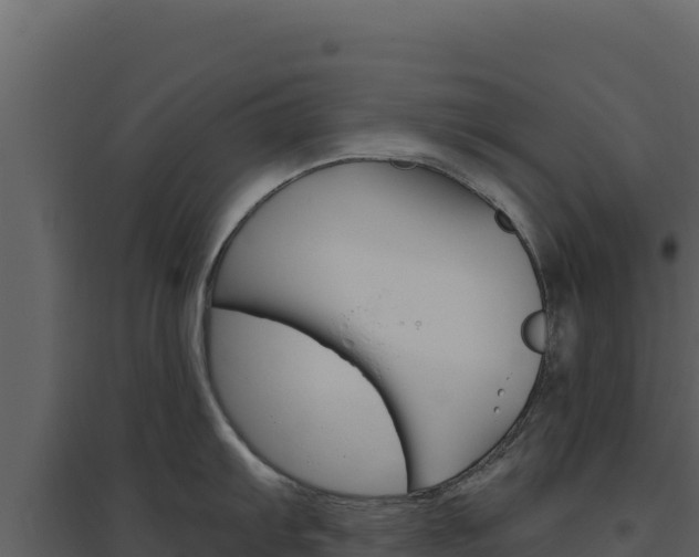 X0000094811103200711160958