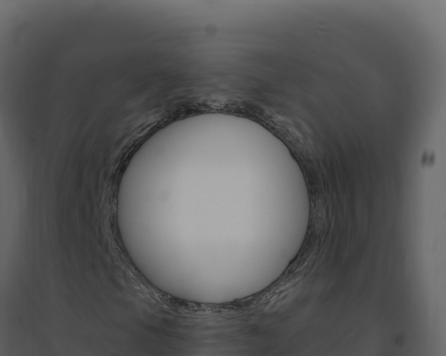 X0000094811105200711160957