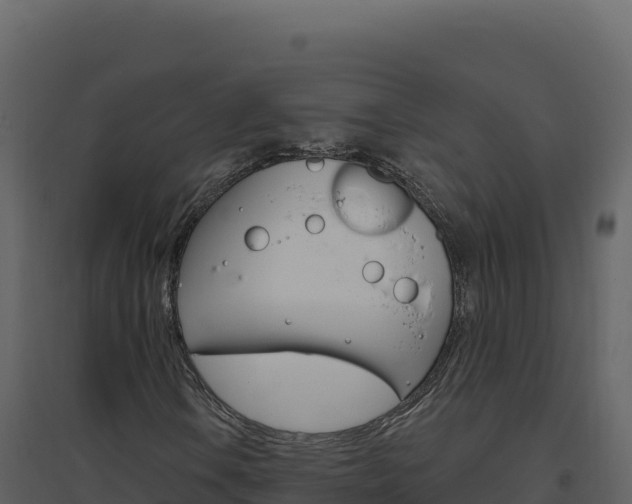 X0000094811106200711160957