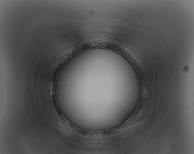 X0000094811108200711160957