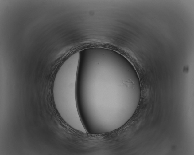 X0000094811110200711160957