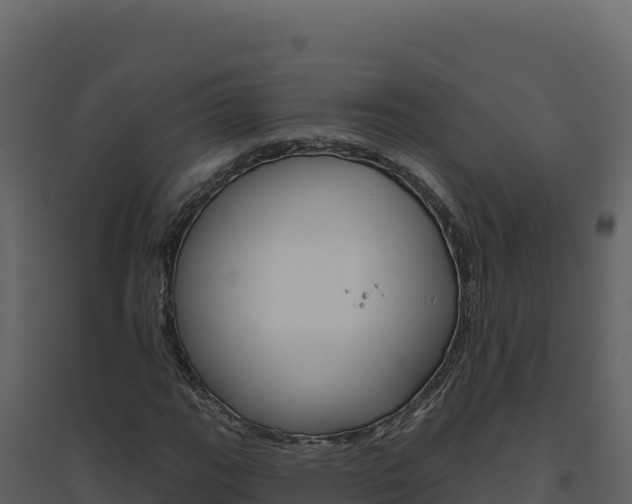 X0000094811111200711160957