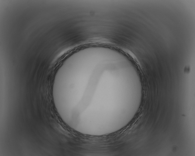 X0000094811112200711160957