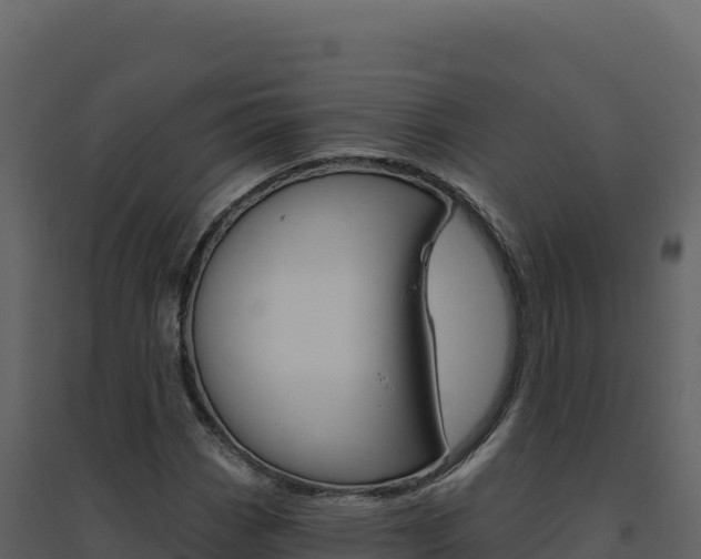 X0000094811113200711160957