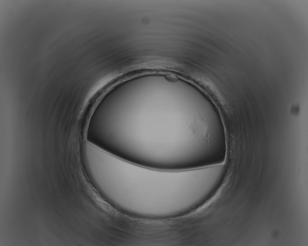 X0000094811114200711160957