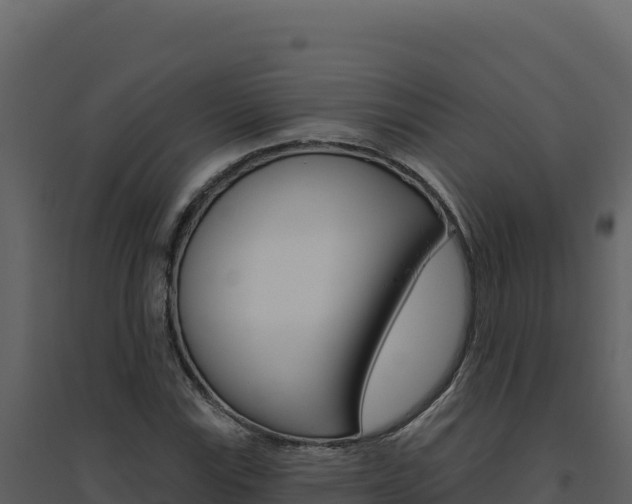 X0000094811115200711160957