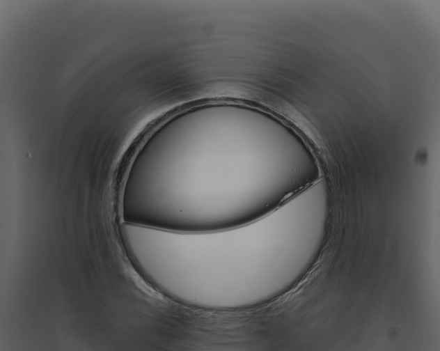 X0000094811116200711160957