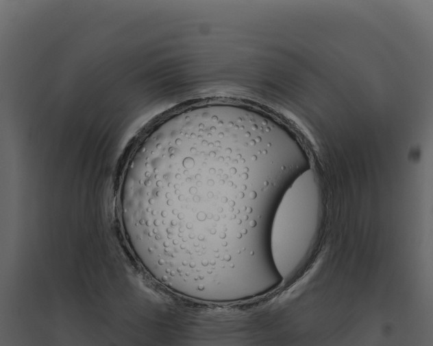 X0000094811117200711160957