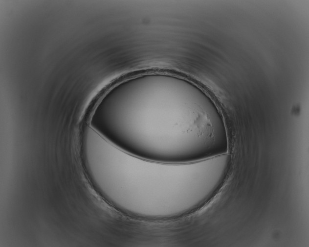 X0000094811118200711160957