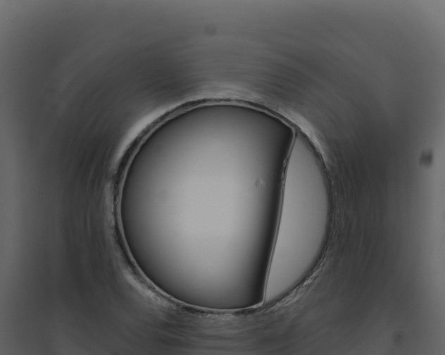 X0000094811120200711160958