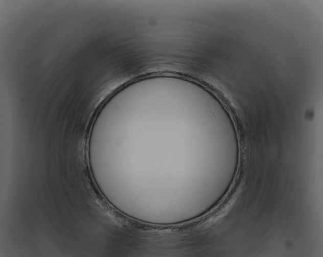 X0000094811121200711160958
