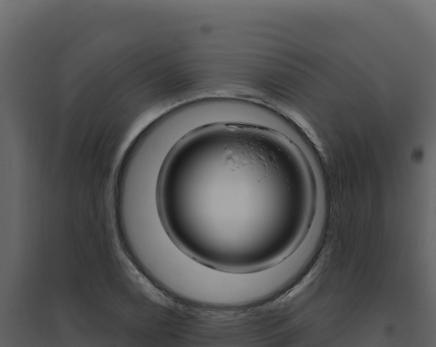 X0000094811122200711160958