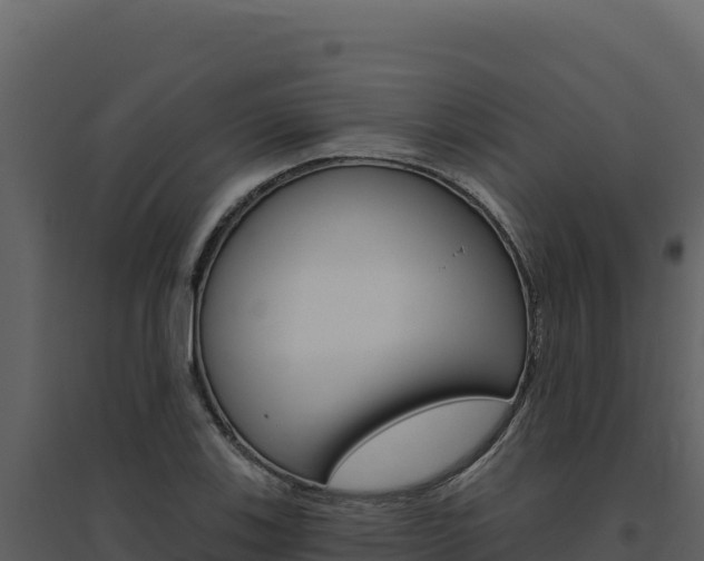 X0000094811123200711160958