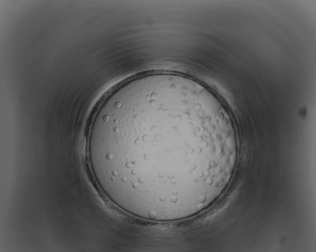 X0000094811125200711160958