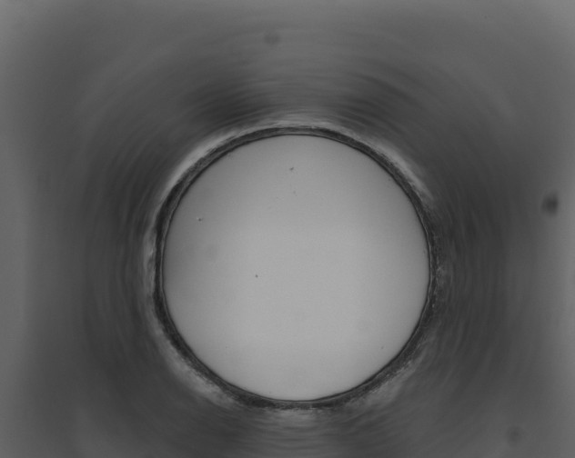 X0000094811126200711160958