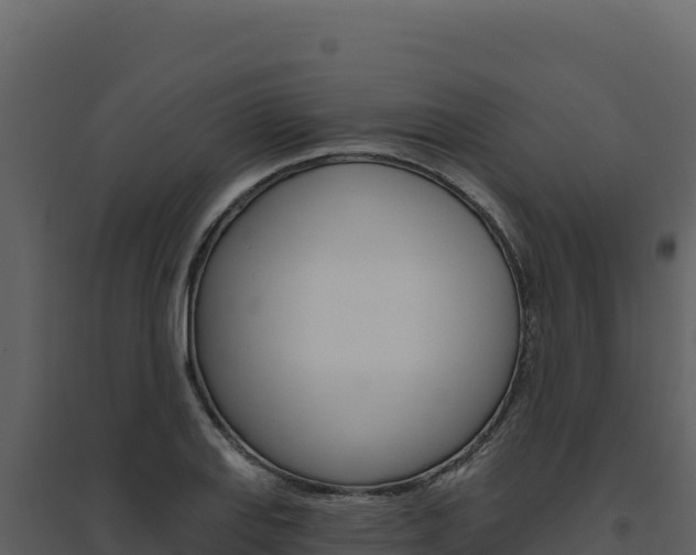 X0000094811127200711160958