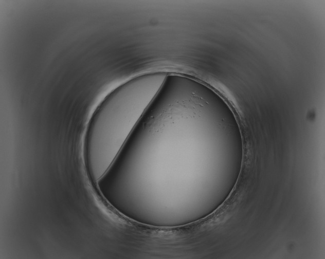 X0000094811128200711160958