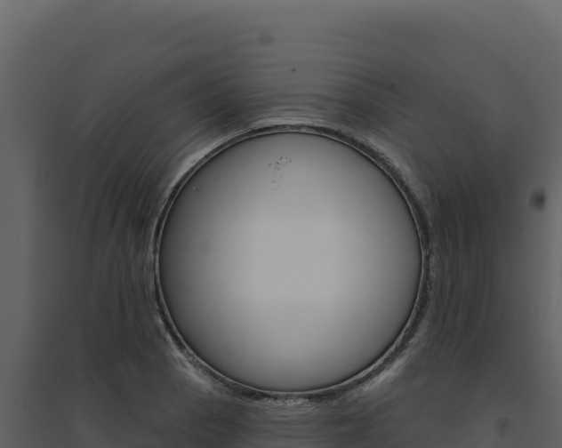 X0000094811129200711160958