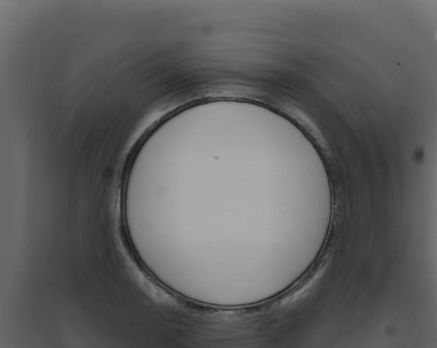 X0000094811130200711160958