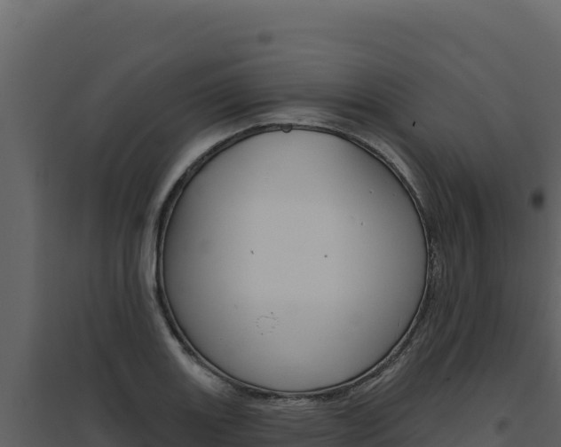 X0000094811131200711160958