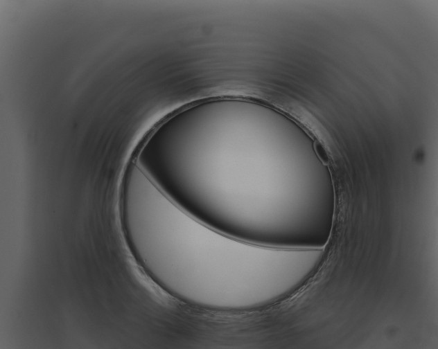 X0000094811132200711160958