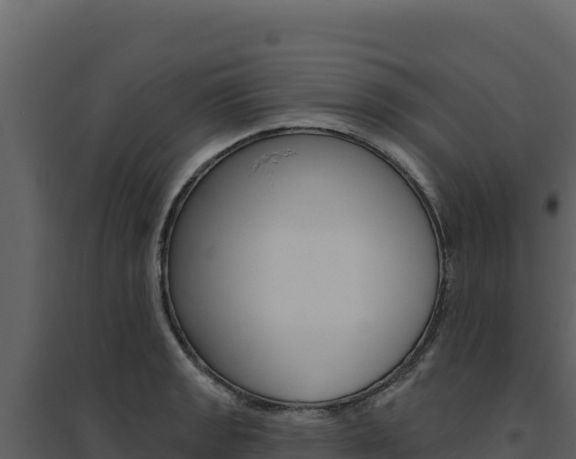 X0000094811133200711160958
