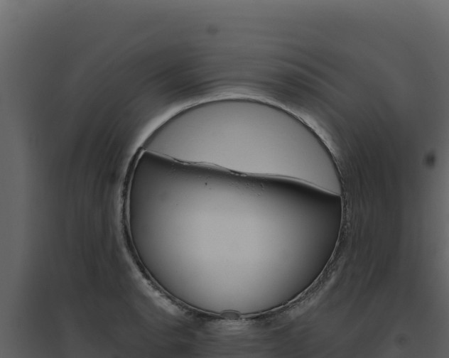 X0000094811134200711160958