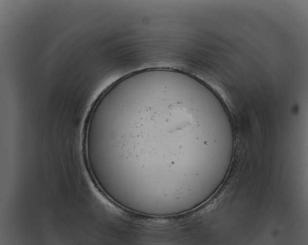 X0000094811135200711160958