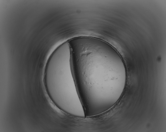 X0000094811136200711160958