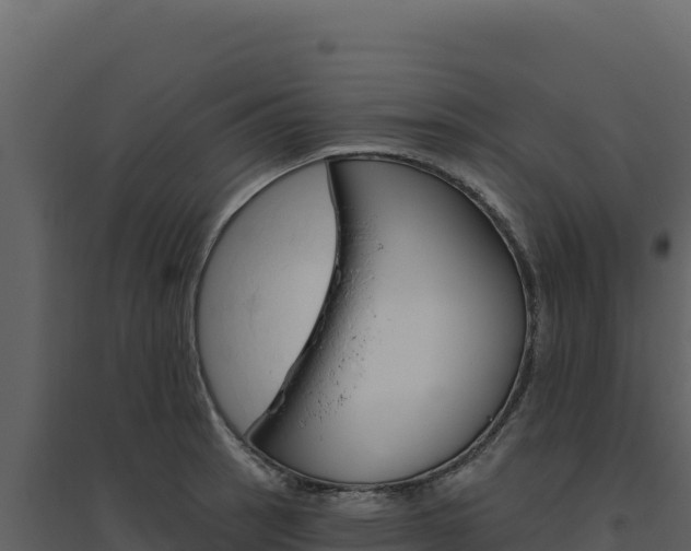 X0000094811137200711160958