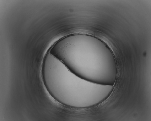 X0000094811139200711160958