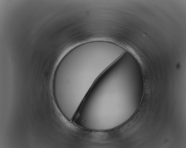 X0000094811140200711160958
