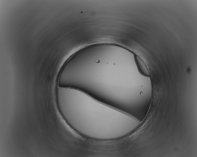 X0000094811142200711160958