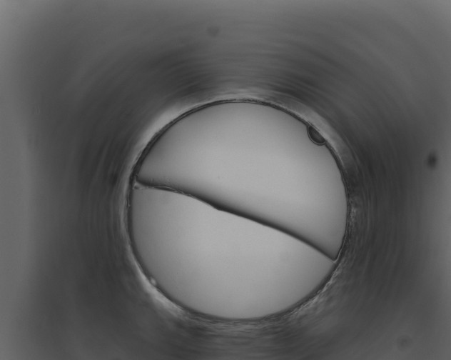 X0000094811143200711160958