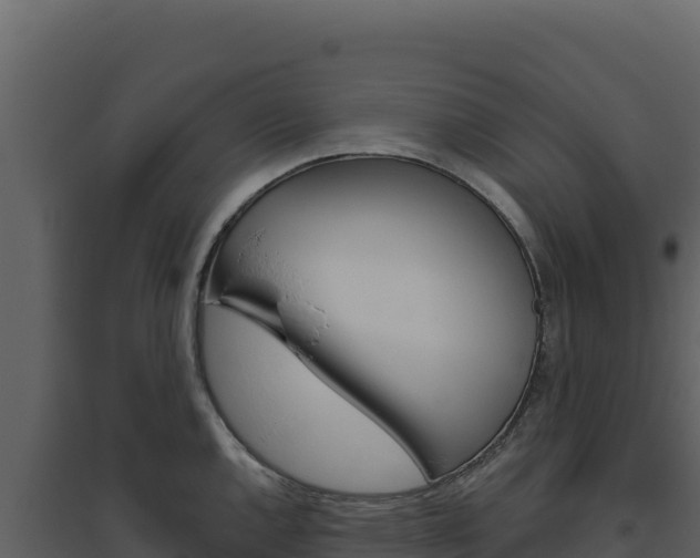 X0000094811144200711160958