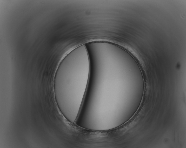 X0000094811145200711160958