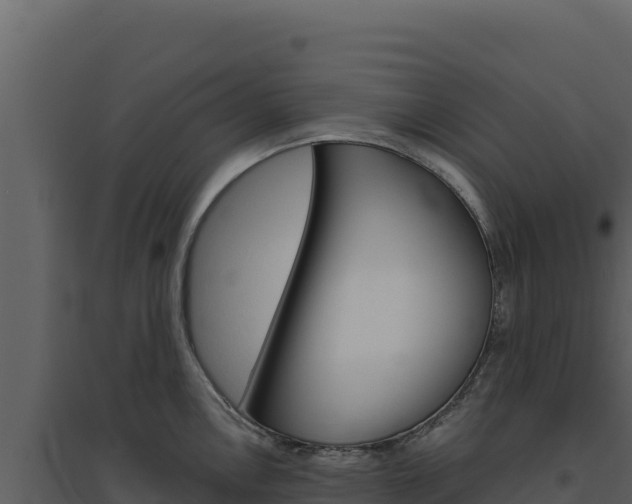 X0000094811146200711160958
