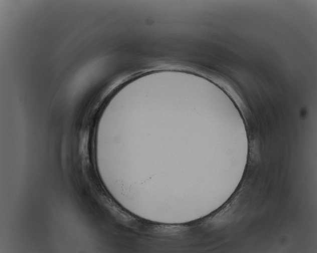 X0000094811150200711160958