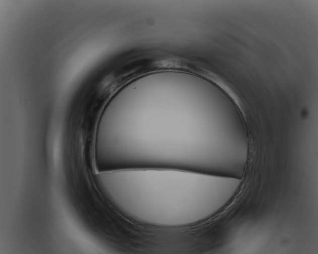X0000094811151200711160958