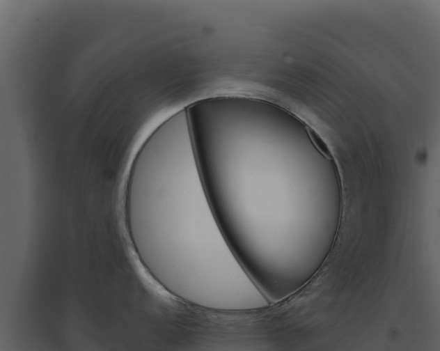 X0000094811152200711160958