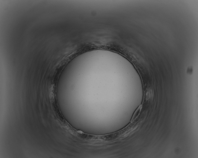 X0000094811156200711160957