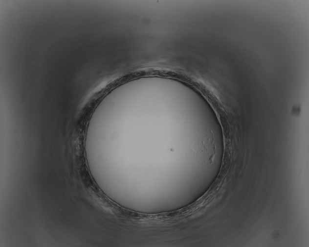 X0000094811159200711160957