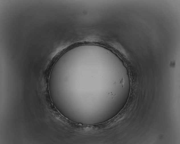 X0000094811160200711160957