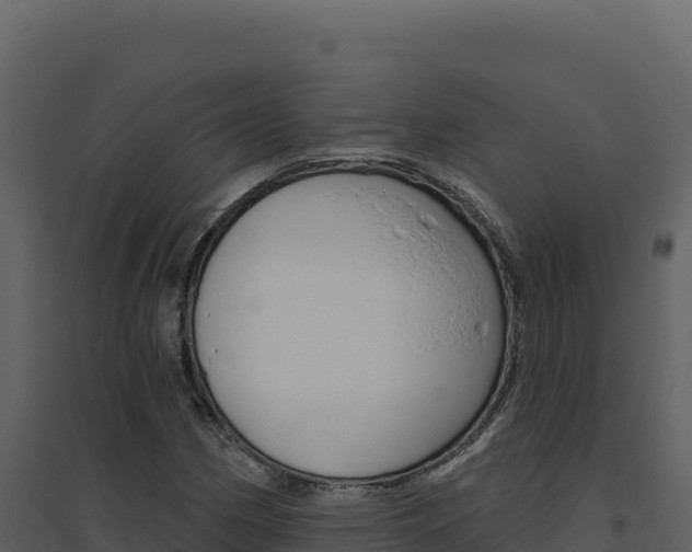 X0000094811162200711160957